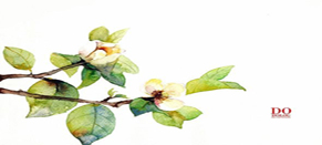 tu_060310.jpg tu_060310.jpg